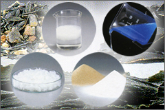 Marine Biopolymers